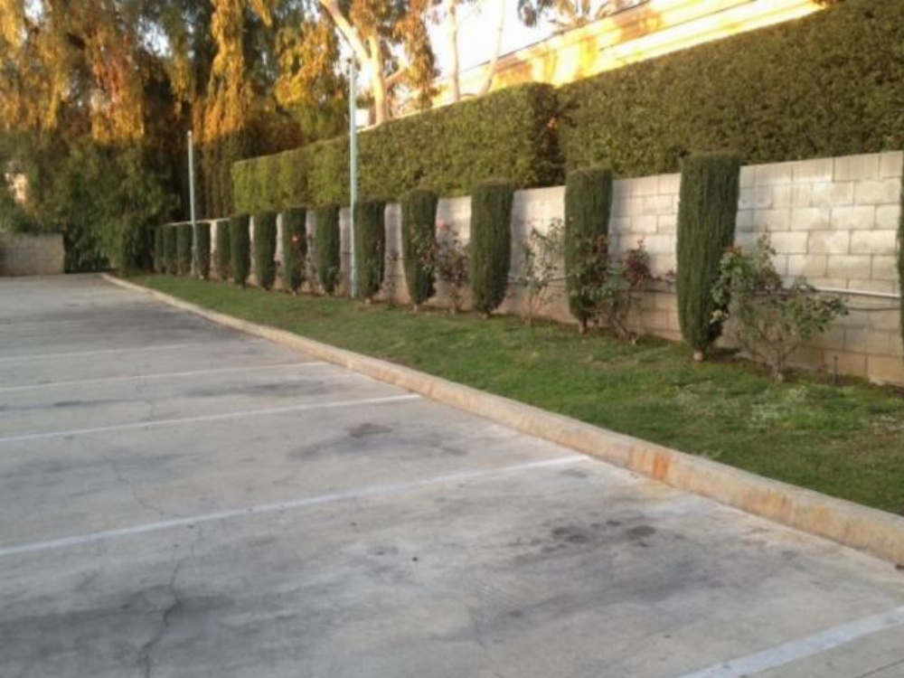 All 8 Motel Image 18